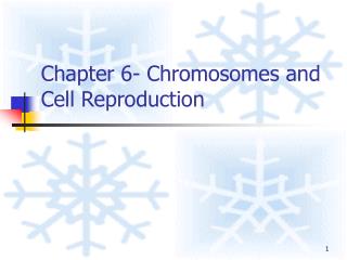 Chapter 6- Chromosomes and Cell Reproduction