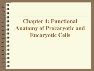 Chapter 4: Functional Anatomy of Procaryotic and Eucaryotic Cells