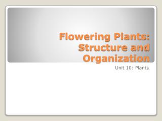 Flowering Plants: Structure and Organization