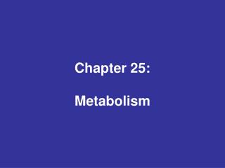 Chapter 25: Metabolism
