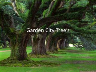 Garden City Tree’s