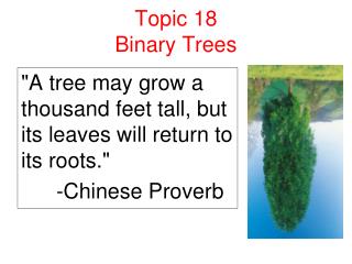 Topic 18 Binary Trees
