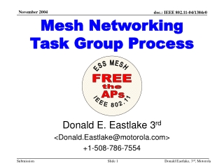 Mesh Networking Task Group Process