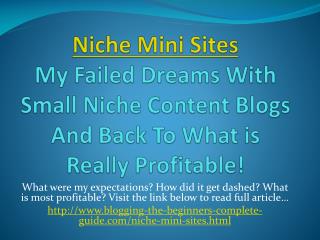 Niche Mini Sites Income - Practical Tips