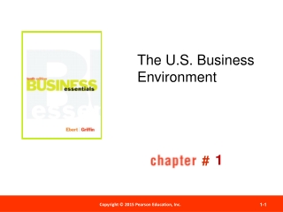 The U.S. Business Environment