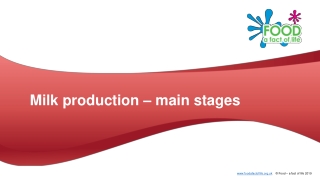Milk production – main stages