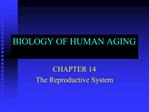 BIOLOGY OF HUMAN AGING