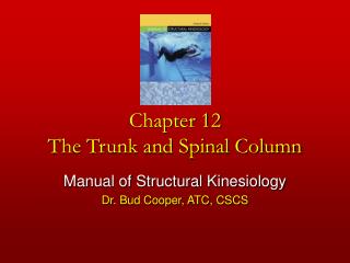 Chapter 12 The Trunk and Spinal Column