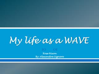 My life as a WAVE
