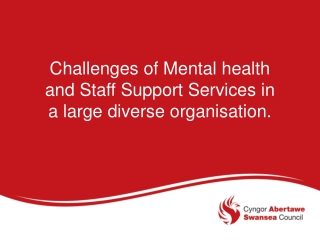 Challenges of Mental health and Staff Support Services in a large diverse organisation .