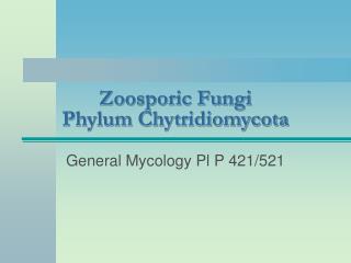 Zoosporic Fungi Phylum Chytridiomycota