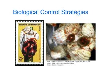 Biological Control Strategies