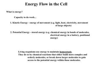 Energy Flow in the Cell
