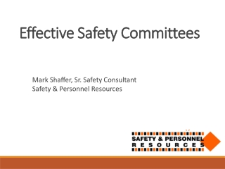 Effective Safety Committees
