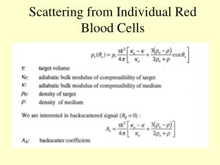 Scattering from Individual Red Blood Cells