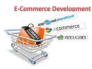 E-commerce Development By GOIGI
