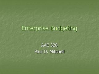 Enterprise Budgeting