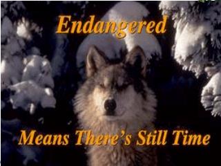 Endangered Means There’s Still Time