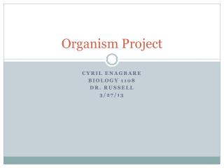 Organism Project