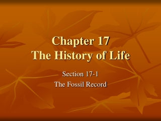 Chapter 17 The History of Life
