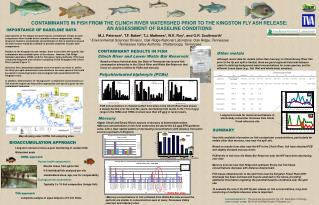 BIOACCUMULATION APPROACH 	Long-term annual or twice-a-year monitoring of resident fish