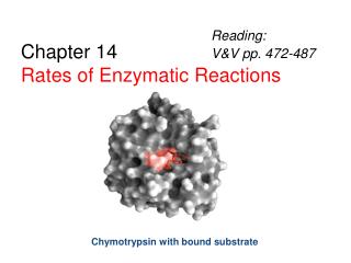 Chapter 14 Rates of Enzymatic Reactions