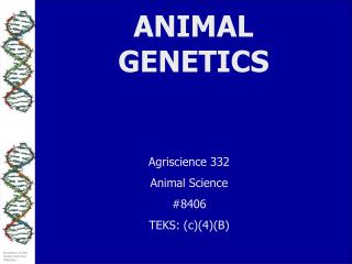 ANIMAL GENETICS