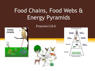 PPT - Food Chains, Food Webs & Energy Pyramids PowerPoint Presentation ...