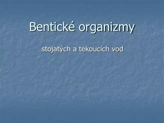 Bentické organizmy