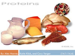 PPT - Functions of Proteins PowerPoint Presentation, free download - ID ...