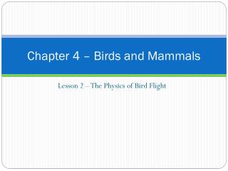 Chapter 4 – Birds and Mammals