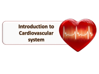 Introduction to Cardiovascular system