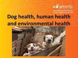 Dog health, human health and environmental health