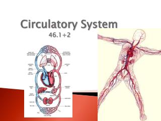 PPT - Circulatory System PowerPoint Presentation, free download - ID ...