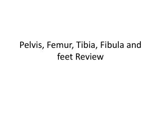 Pelvis, Femur, Tibia, Fibula and feet Review