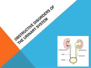 Obstructive disorders of the Urinary system