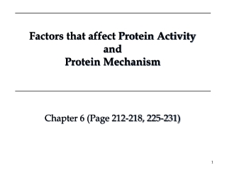 Factors that affect Protein Activity and Protein Mechanism