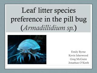 Leaf litter species preference in the pill bug ( Armadillidium sp . )