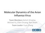 Molecular Dynamics of the Avian Influenza Virus