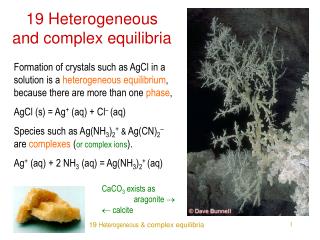 19 Heterogeneous and complex equilibria