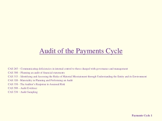 Audit of the Payments Cycle