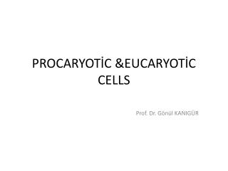 PROCARYOTİC &EUCARYOTİC CELLS