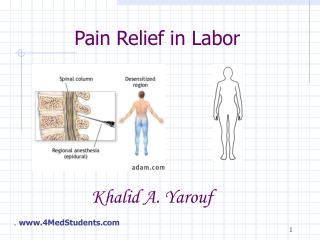 Pain Relief in Labor