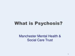 PPT - What Is Psychosis? PowerPoint Presentation, Free Download - ID:308306