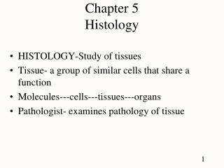 Chapter 5 Histology