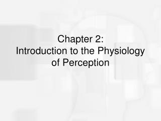 Chapter 2: Introduction to the Physiology of Perception