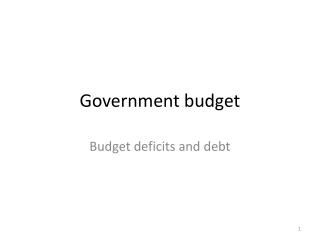 Government budget