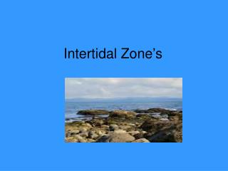 intertidal zone presentation