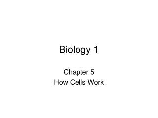 PPT - Biology 1 PowerPoint Presentation, free download - ID:3088353