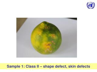 Sample 1: Class II – shape defect, skin defects